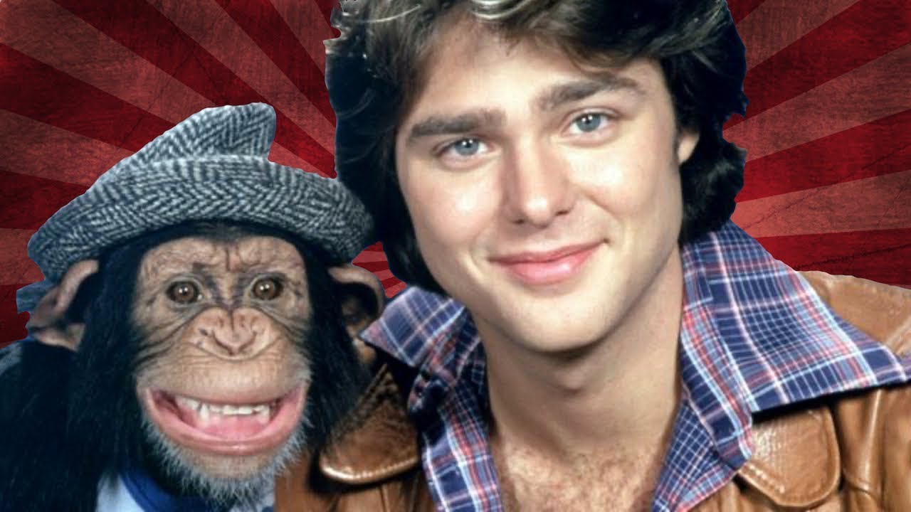 bj mckay and bear dvd