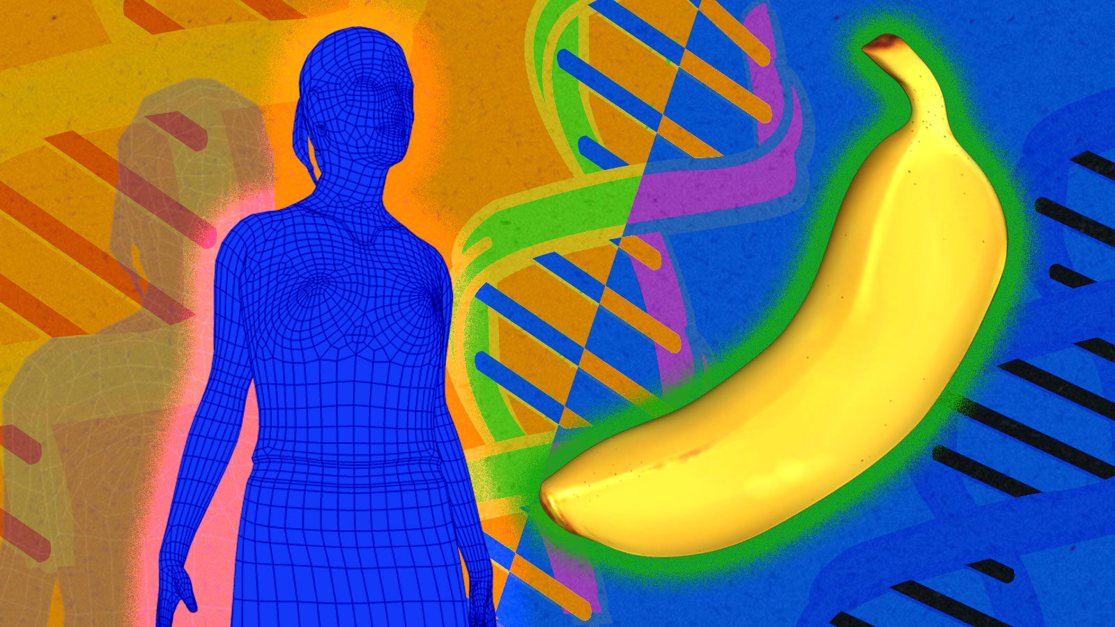 humans share 50% of their dna with bananas