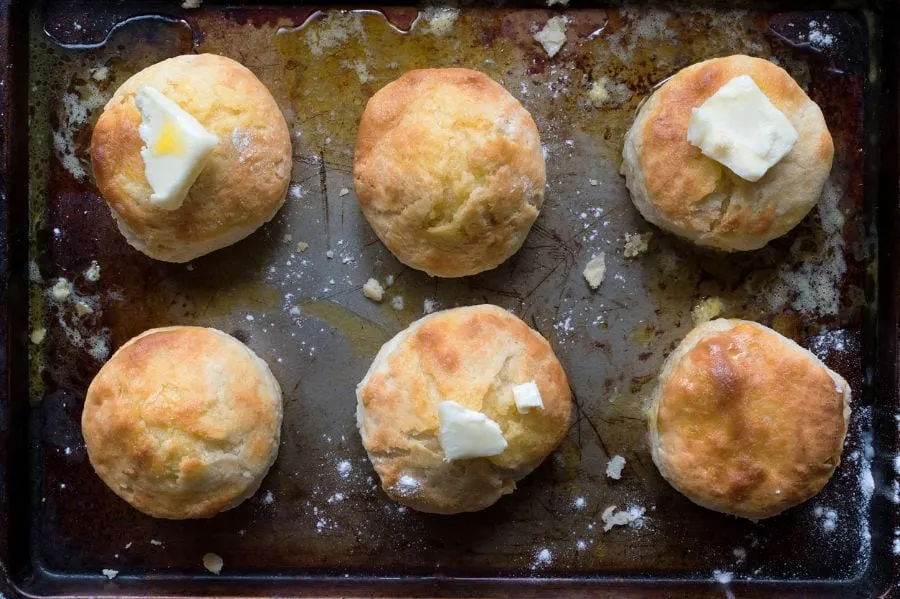 homemade biscuits not rising