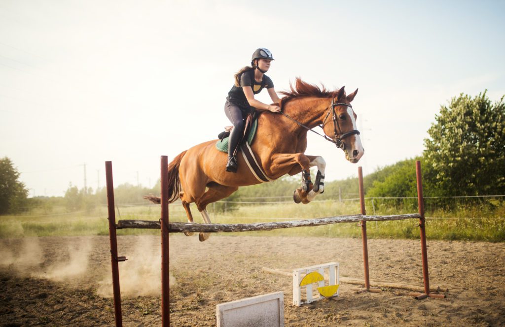 what type of sand is best for horse stall