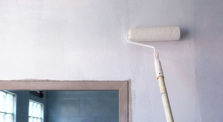 Zinsser 123 primer dry before painting