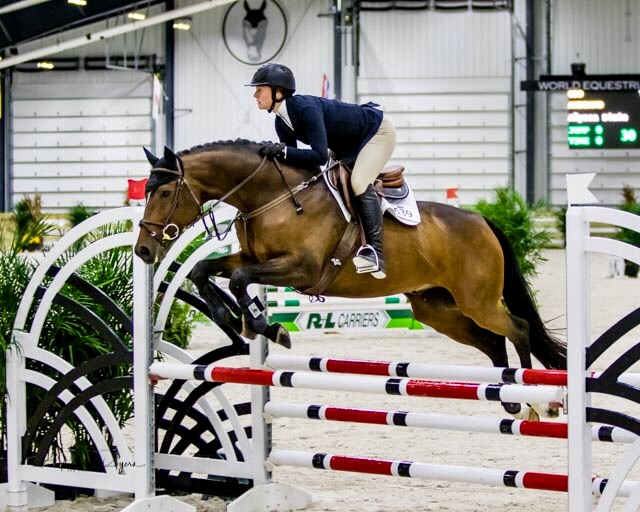 Can Quarter Horses be good jumpers?