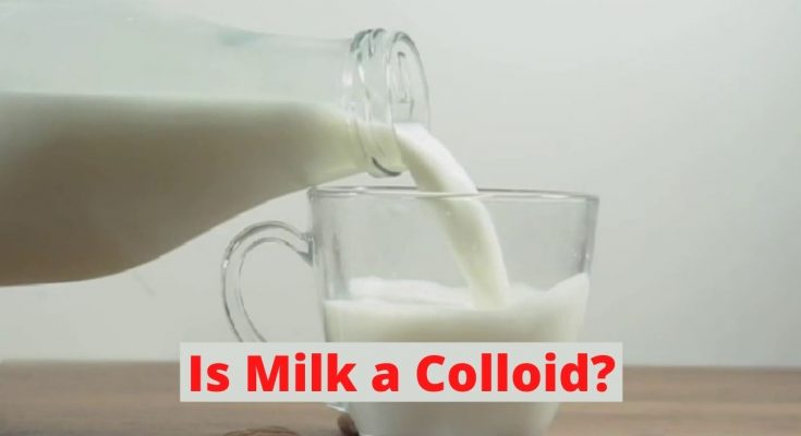 milk a Colloids