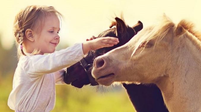 funny horse songs