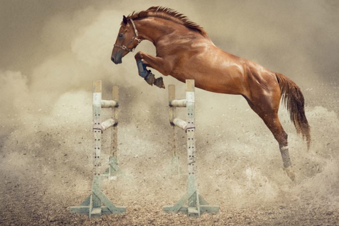 jumping do to horses