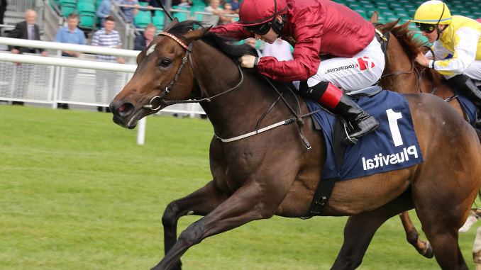 how much does a race horse weigh