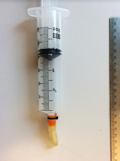 does dewormer expire