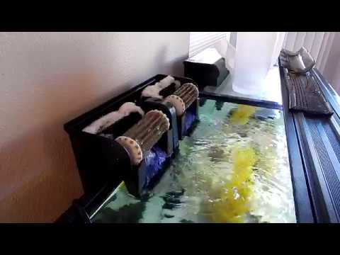 Penguin bio wheel not working