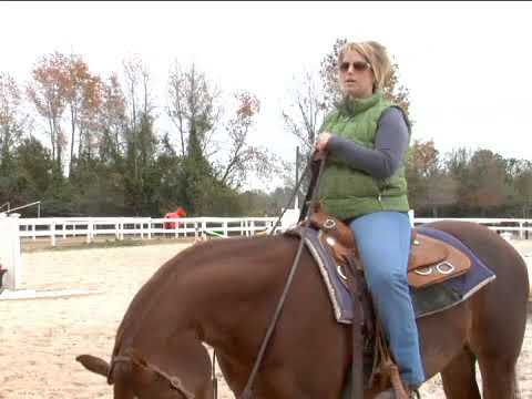 difference between cantering and loping