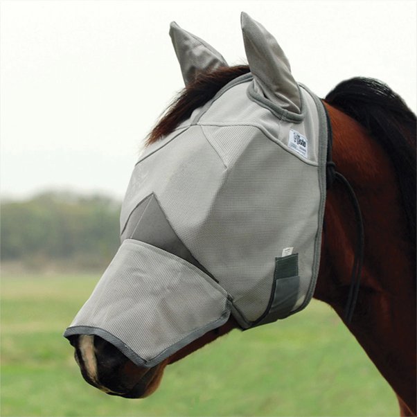 why do horses wear blinders