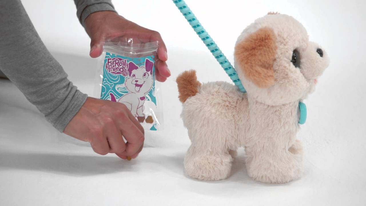 dog to poop out a toy