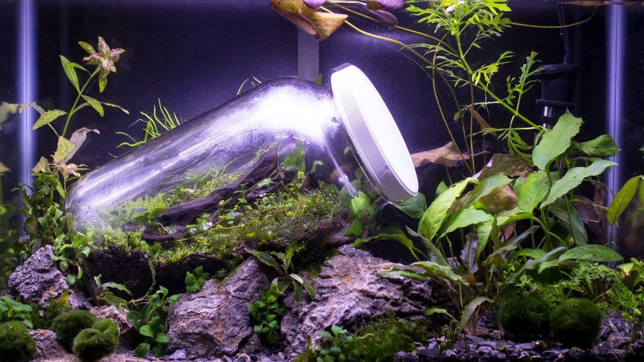 can i use an aquarium as a terrarium