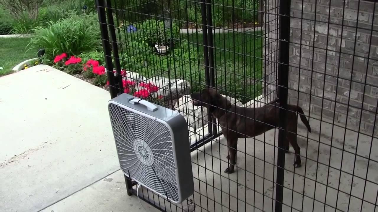 outdoor fans for dogs