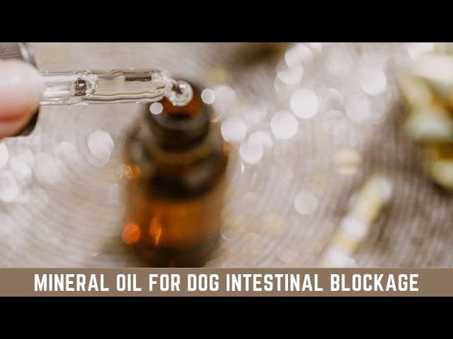 mineral oil for dog intestinal blockage