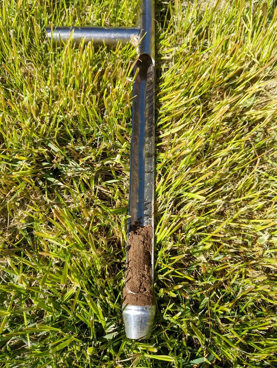 safe for horse pasture