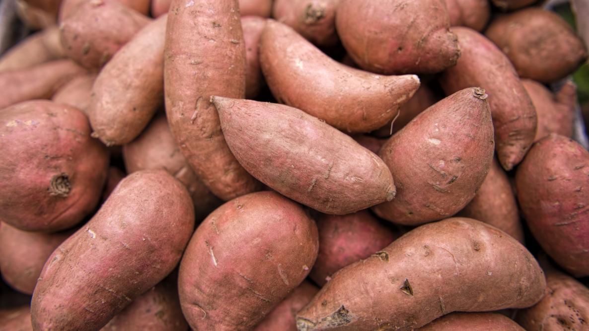 sweet potatoes