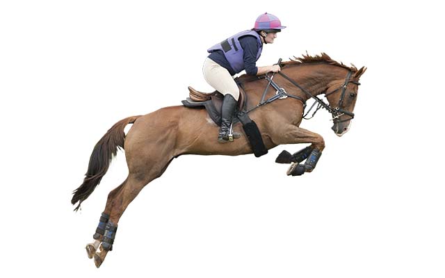 mean if a horse burps