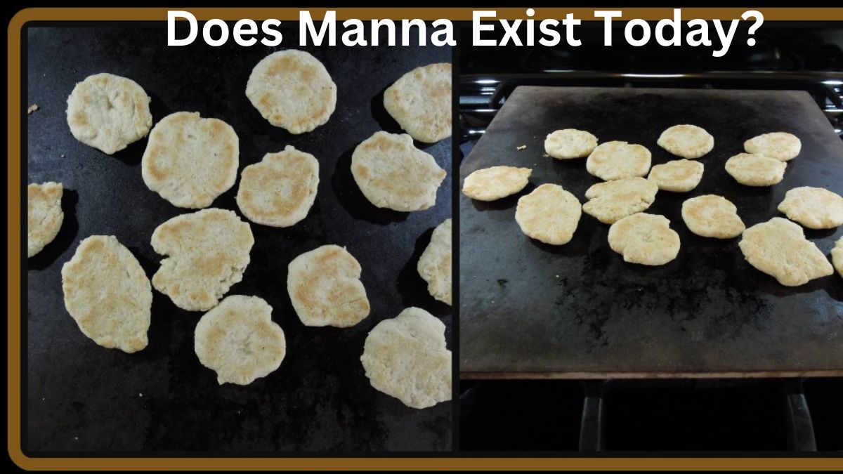 does manna exist today