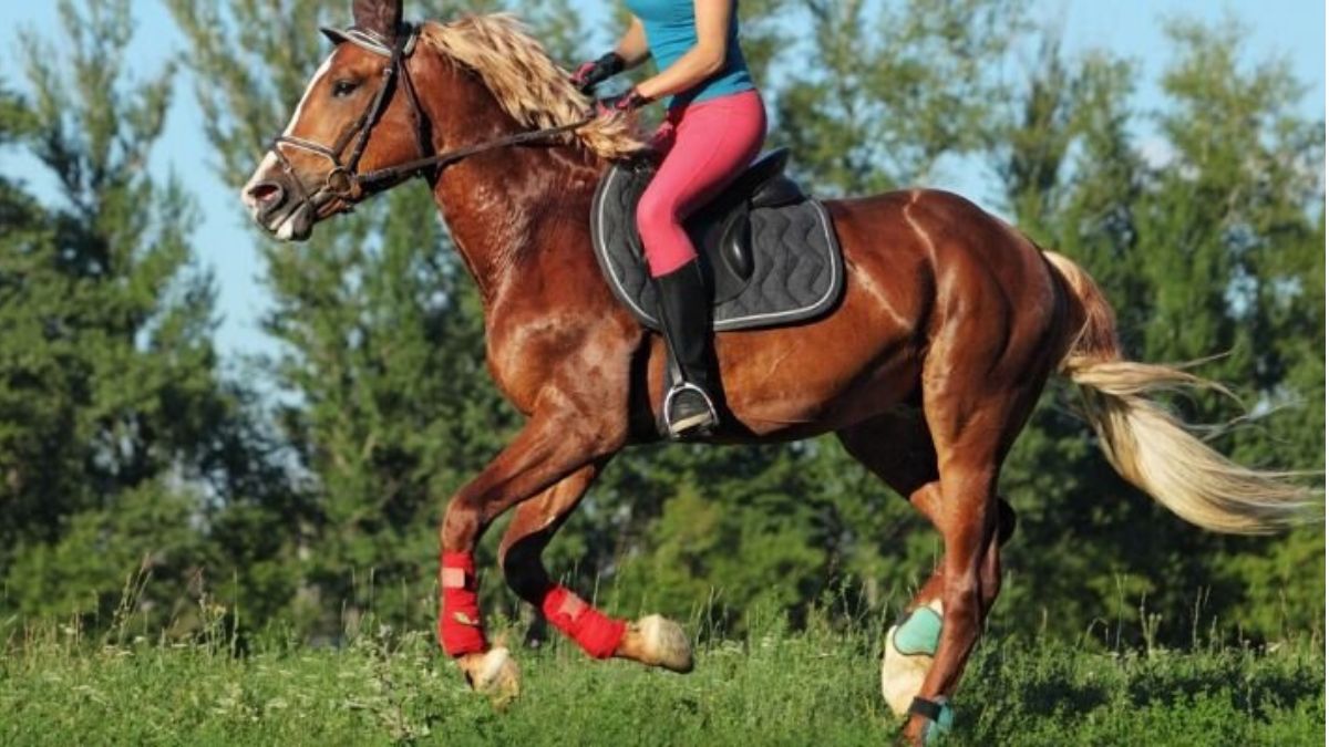 can i wear leggings horseback riding
