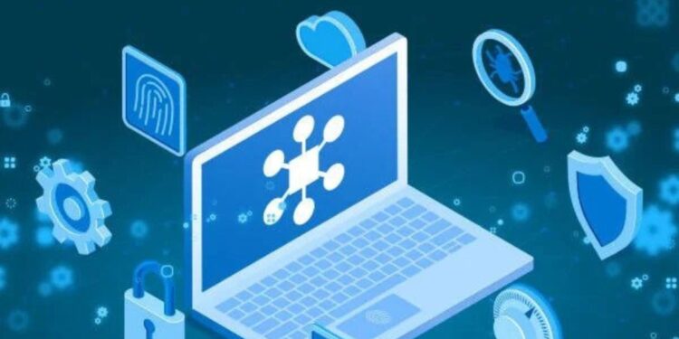 Role of CVE in Security