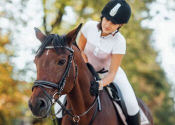 8 Essential Tips for a Secure Horse Riding Experience