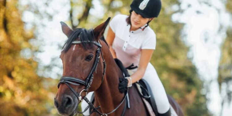 8 Essential Tips for a Secure Horse Riding Experience