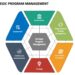 Strategic Impact of Programme Managers
