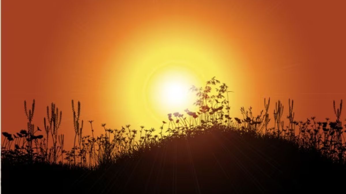 Unlocking the Beauty of Sunrise Tomorrow A Glorious Beginning