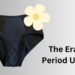 The Era of Period Undies