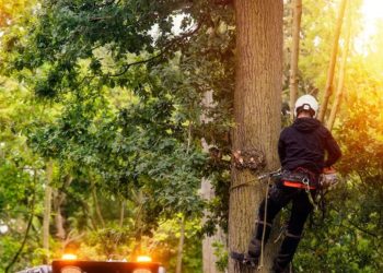 Tree Service Company