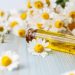 Chamomile Oil