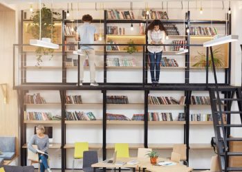 Home Library Organization (1)