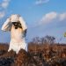 Radiation Exposure Lawsuits