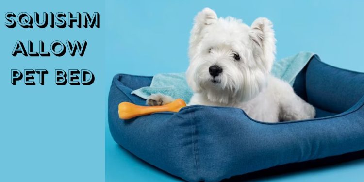 squishmallow pet bed