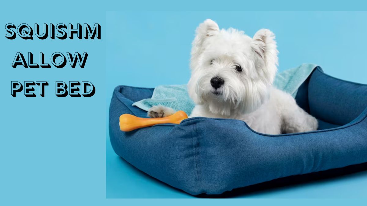 Squishmallow Pet Bed The Ultimate Comfort for Your Furry Friend