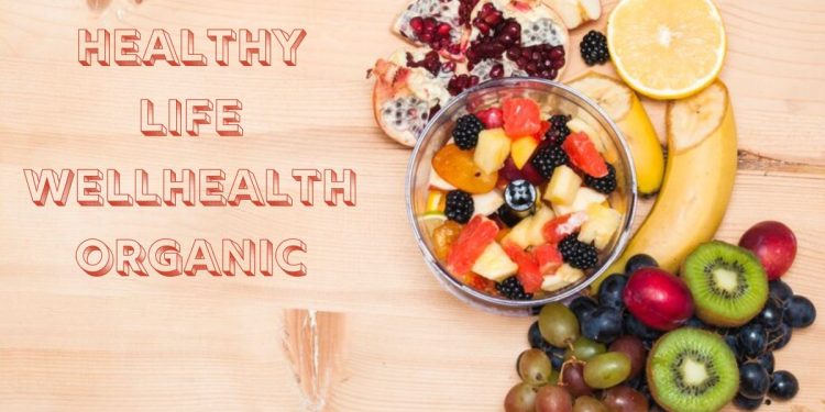 healthy life wellhealthorganic