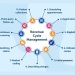 Revenue Cycle Management