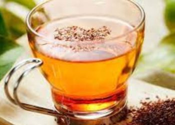 Rooibos Tea