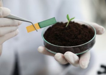 Soil Health