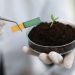 Soil Health