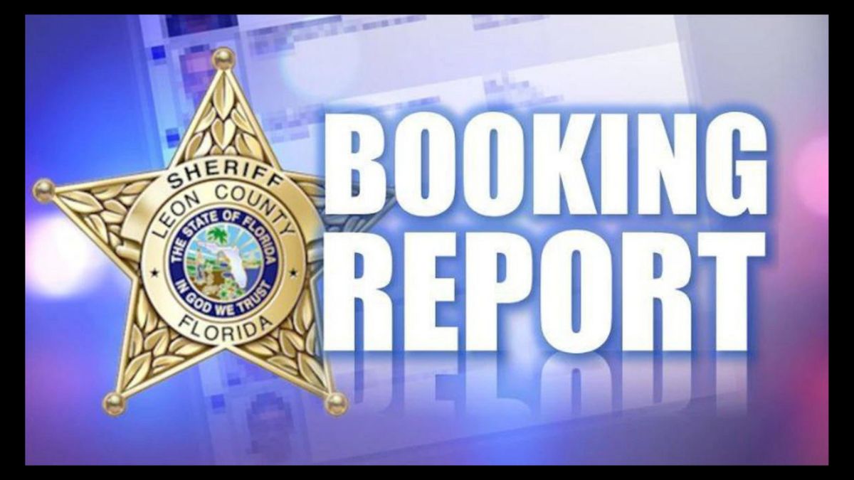 Leon County Booking Report Understanding, Access, and Impact