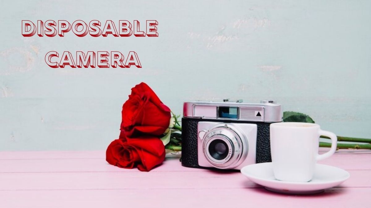 Disposable Cameras Capturing Moments the OldSchool Way