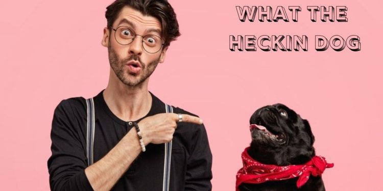 what the heckin dog