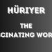 hüriyer
