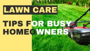 lawn care