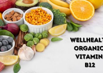 wellhealthorganic vitamin b12