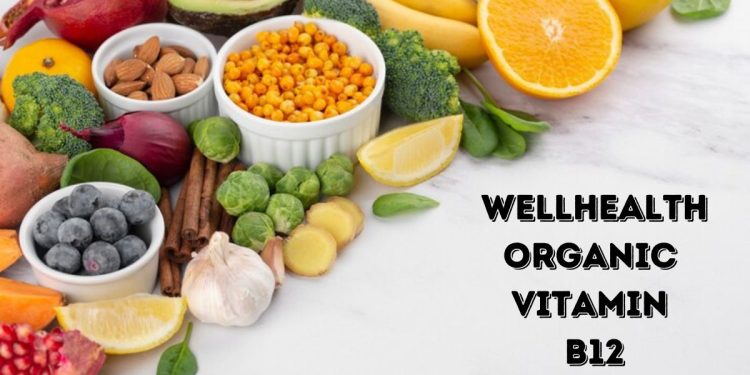 wellhealthorganic vitamin b12