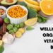 wellhealthorganic vitamin b12
