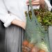 Sustainable Shopping
