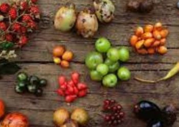 Australian Bush Foods